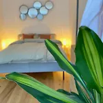 Apartmán Altstadt Mit Kueche Fuer Bis Zu 6 Gaeste Nahe Schloss Und Oepnv